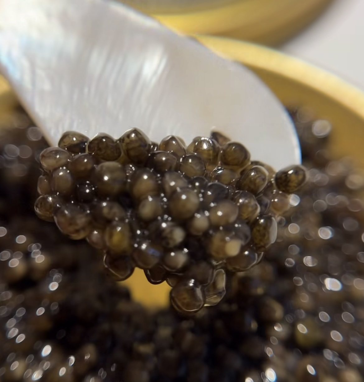Caviar negro